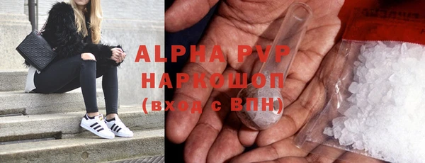 ПСИЛОЦИБИНОВЫЕ ГРИБЫ Верея