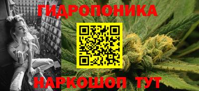 сатива Краснодар