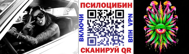 Псилоцибиновые грибы мицелий что такое наркотик Североморск
