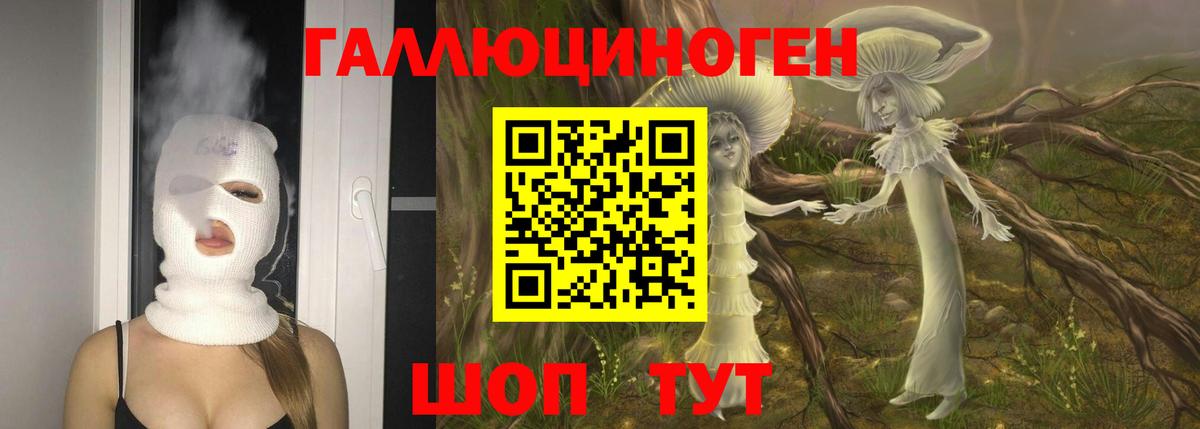 Североморск  Псилоцибиновые грибы ЛСД  Галлюциногенные грибы ЛСД  Вход с VPN 
